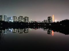 -福田红树林生态公园