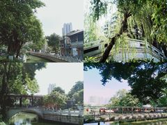 -荔湾湖公园