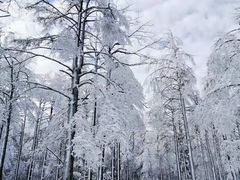 -四明山国家森林公园