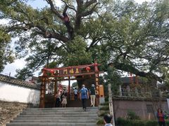 -新安江山水画廊风景区