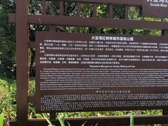 -大亚湾红树林城市湿地公园