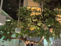 -绿茶餐厅(广州天河城店)