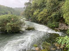 -花溪公园