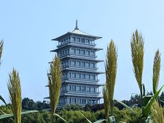 -西安世博园