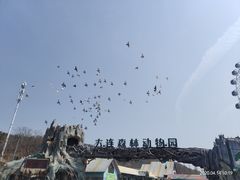 -大连森林动物园