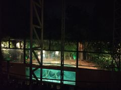 景点-清迈夜间动物园