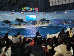 -泉城欧乐堡海洋极地世界