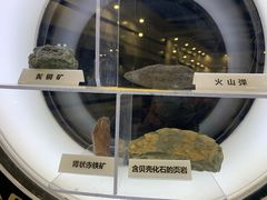 -上海儿童博物馆