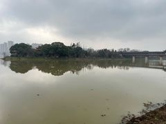 -白鹭洲书院