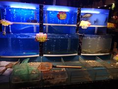 水产区-寂寞的豆芽(龙泽路店)