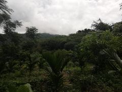 -七仙岭温泉国家森林公园