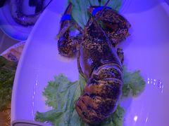 -俏东方·海味水饺·青岛菜(崂山店)