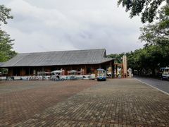 -大湾区中央湿地公园