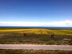 -青海湖国家重点风景名胜区