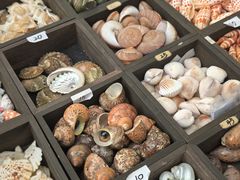 -万达广场(武汉菱角湖店)