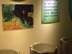-上海昆虫博物馆