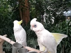 -南宫温泉水世界