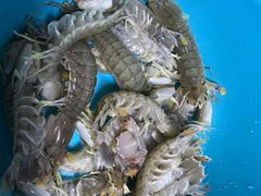 -马王堆海鲜水产市场