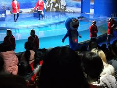 -重庆欢乐海底世界