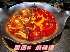 台式麻辣锅-湊湊火锅·茶憩(石家庄万象城店)