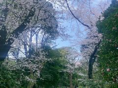 -东京国立博物馆
