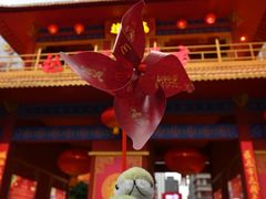 -越秀西湖花市(广州城市广场花卉店)