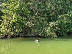 -千岛湖东南湖区