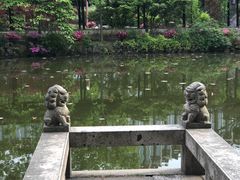 -上海醉白池公园