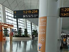 -郑州新郑国际机场-T2航站楼