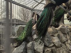 -水绘园