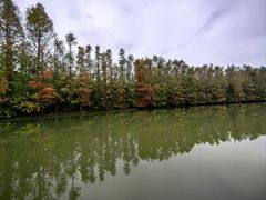 -上海海湾国家森林公园