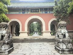 -灵谷景区