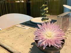 -T館·花园艺术餐厅