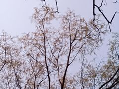 -玄武湖景区-情侣园游乐场