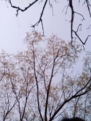 -玄武湖景区-情侣园游乐场