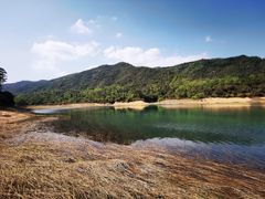 -田心森林公园