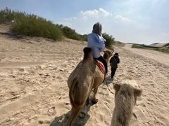 -库伦旗银沙湾旅游景区