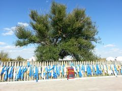 -亿利库布其七星湖沙漠生态旅游区