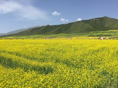 -扁都口生态休闲旅游区