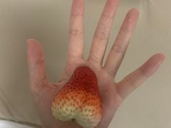 -盒马鲜生(曜一城店)