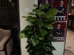 -丰收日(五角场店)