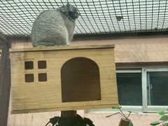-青藏高原野生动物园