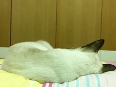-疯狂的筷子老灶九宫格火锅