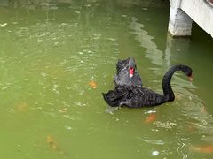 -河北省园博园