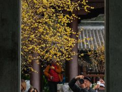 -钱王祠