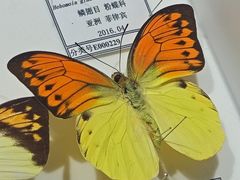 -烟台市博物馆