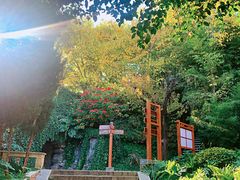 -南诏风情岛