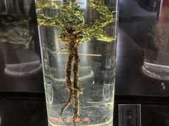 -广东中医药博物馆