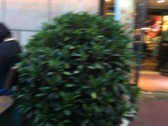 -皇冠自酿啤酒坊(中国红街5号楼店)