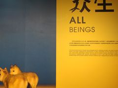 -中国湿地博物馆